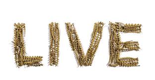Image See you tonight on our <b>live</b> Picture