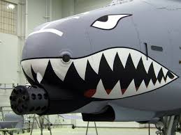 The General Electric GAU 8  A   Avenger    
