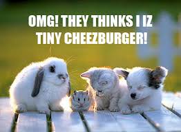 Tiny
