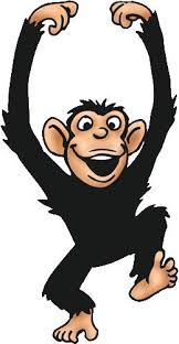   Monkey   