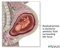 It is also known as  amniotic   fluid    