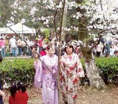 [社会]母女着和服在武大樱园拍照