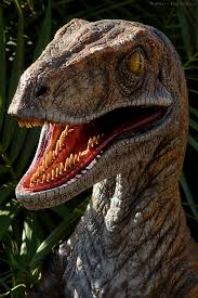 velociraptor hunting them - via Daymix