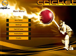cricket-tournament.jpg. - via Daymix