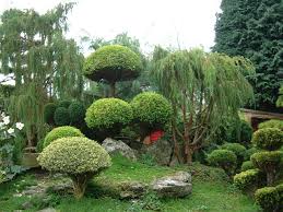 GEORGE x26 39 S  JAPANESE GARDEN  