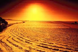 What is a desert