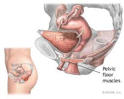 Long kegel  exercise  for  men 