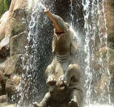 Elephant Showering