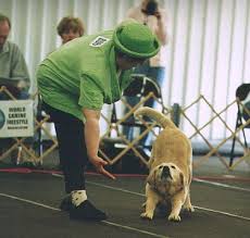 Canine freestyle trainer Jill - via Daymix