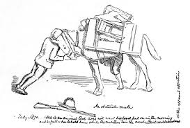 An  Obstinate   Mule