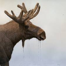 eland