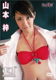 DVD: 山本梓