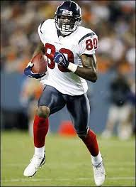 Andre Johnson WR