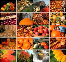 Thanksgiving Backgrounds - via Daymix