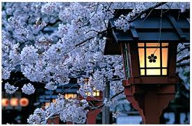 Japan can