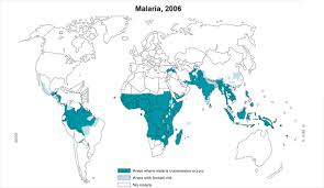Malaria and travellers - via Daymix