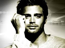 Image <b>David Charvet</b> Picture