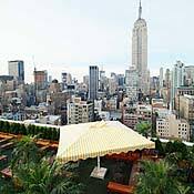 230 Fifth
