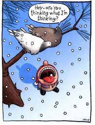 funny toon