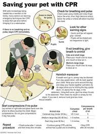 CPR for - via Daymix