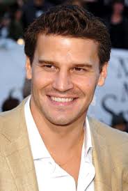 Image <b>David Boreanaz</b> Picture