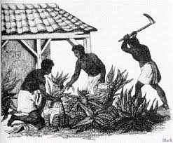 Slaves