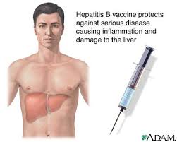  Hepatitis  B