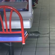 Issue: Taco Bell's - via Daymix
