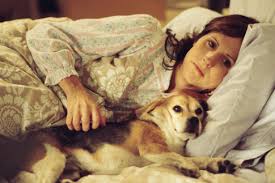 Image <b>Molly Shannon</b>. Picture
