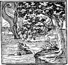 Alas, wretched Tantalus, in the 