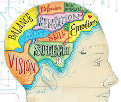   Brain   Harmony Technology Salt Lake    