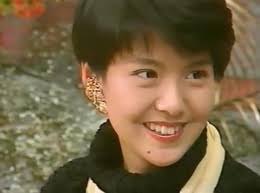 南野陽子 バラエティ トーク