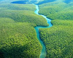 Amazon Peru - via Daymix