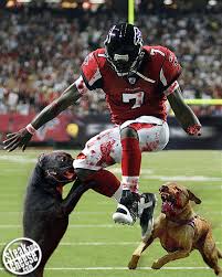 Dogs Get Revenge