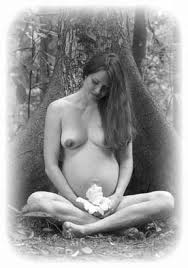  x3cb x3epregnancy x3c b x3e photographer and  x3cb x3e    x3c b x3e