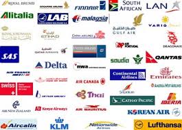      the  airline   programming market    