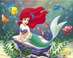 Ariel's Comments