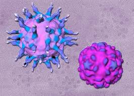 that  poliomyelitis  disease