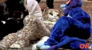 know what “Furry” meant,
