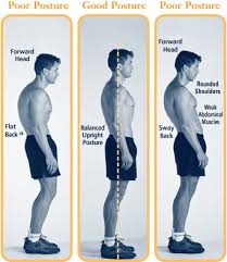 posture.jpg - via Daymix