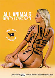 Image Jodie Marsh   Protesting for Picture