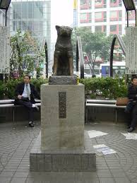   Akita Inu   well known as loyal dog to    