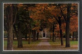 Bowdoin College, Brunswick