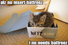   Cute cat   of the Day 13