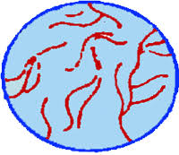 Figure 14 7  Archaebacteria  
