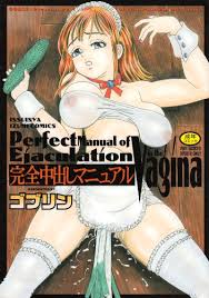 完全中出しマニュアル (いずみ