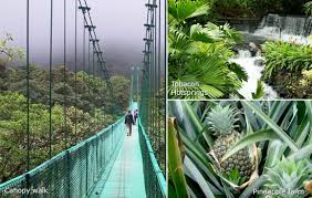 CAFNR: Study Abroad Programs: Costa Rica (