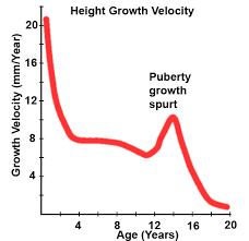 Triggers to puberty include