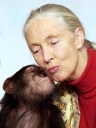 Jane Goodall gets a kiss - via Daymix