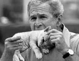 president-bush-eats-kitten-